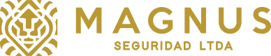 Magnus Seguridad